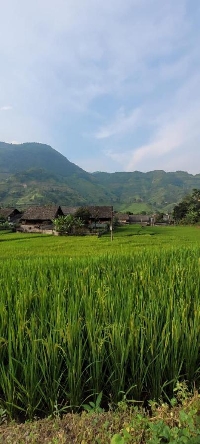 Organic Farm Homestay Sapa Exterior foto