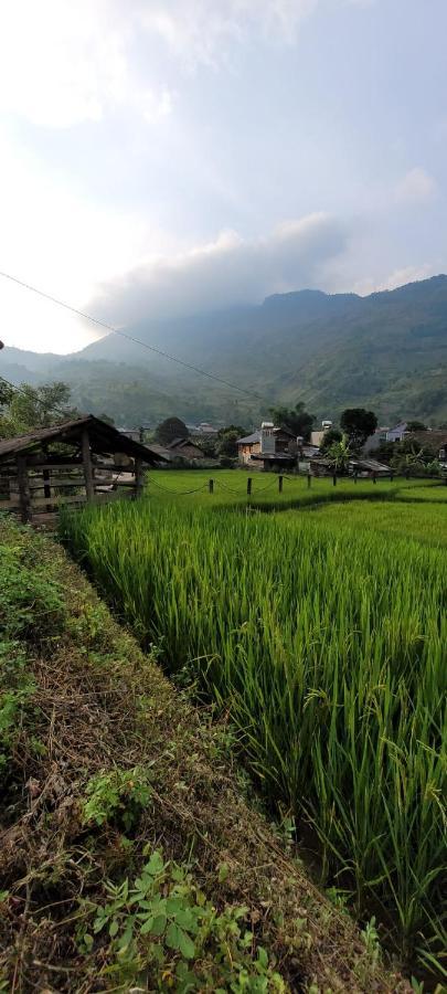 Organic Farm Homestay Sapa Exterior foto