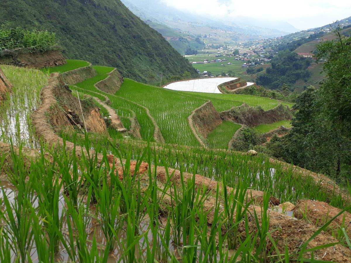 Organic Farm Homestay Sapa Exterior foto