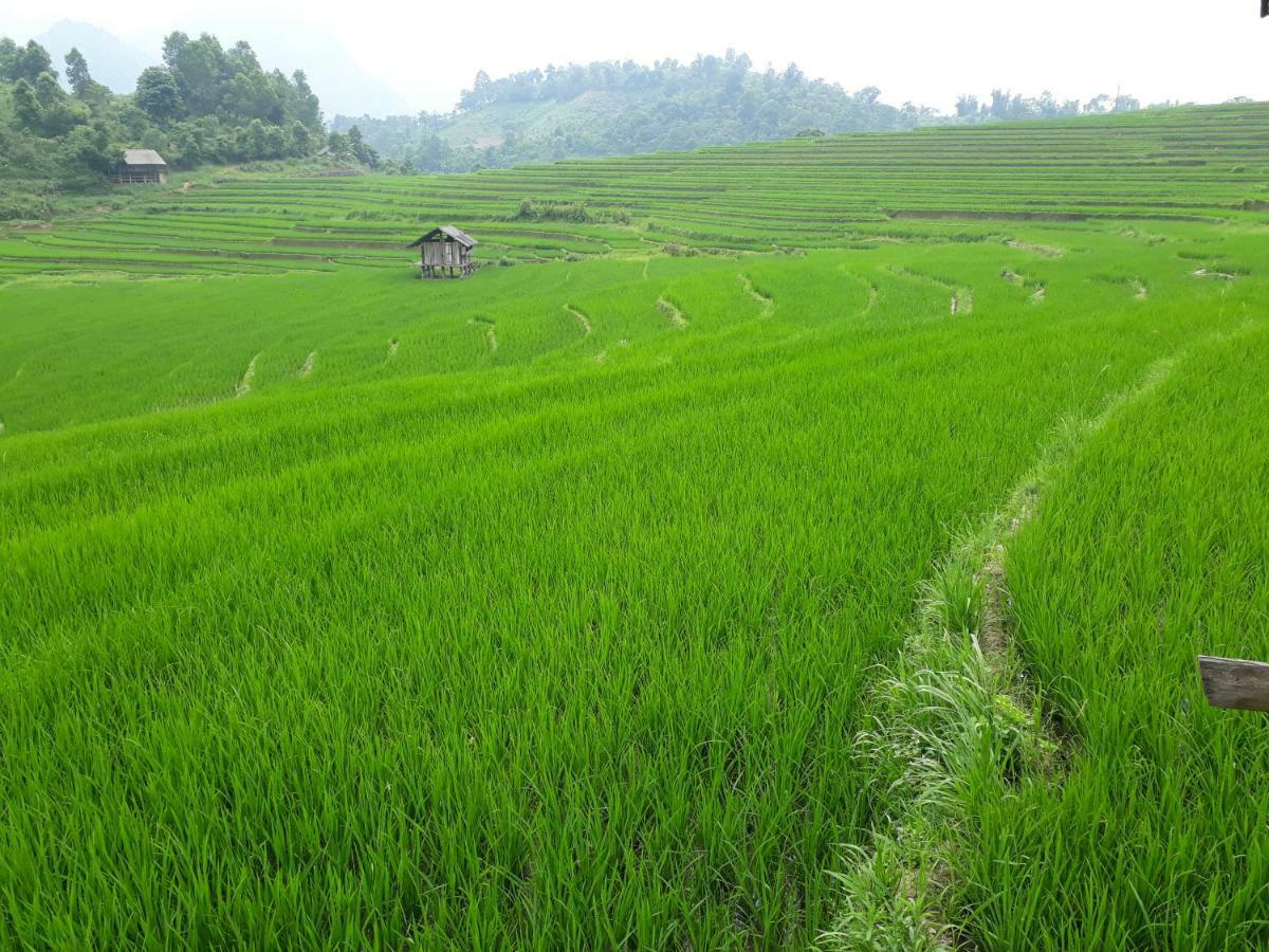 Organic Farm Homestay Sapa Exterior foto